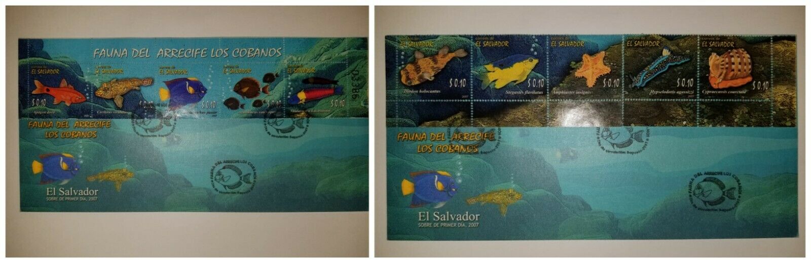 O) 2007 El Salvador, Arrecife Los Cobanos, Fishes -starfish -seashell -marine Ha